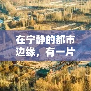 在宁静的都市边缘，有一片被自然环抱的绿洲——森林心情家具有限公司的所在地。这里，远离了城市的喧嚣，空气中弥漫着树木的清新与泥土的芬芳，仿佛能听见每一片叶子在微风中低语，每一次呼吸都充满了生机与和谐。-第1张图片-赛丽网