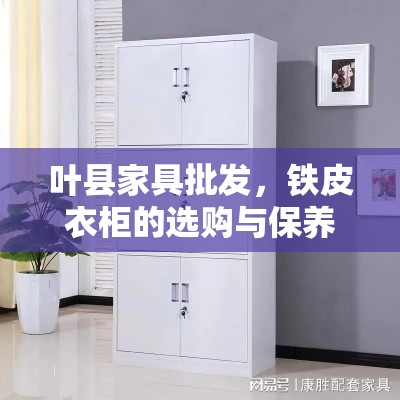 叶县家具批发，铁皮衣柜的选购与保养全攻略-第1张图片-赛丽网