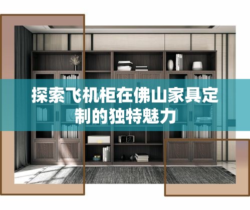探索飞机柜在佛山家具定制的独特魅力-第2张图片-赛丽网