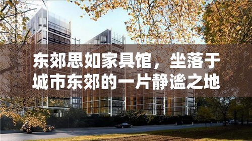 东郊思如家具馆，坐落于城市东郊的一片静谧之地，这里不仅是繁华都市中的一片绿洲，更是寻找生活品质与艺术气息的旅人必经的休憩站。其具体地址为XX路XX号，一个在地图上不起眼却能引领你步入温馨与雅致的所在。-第1张图片-赛丽网