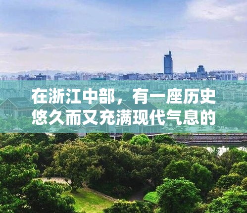 在浙江中部，有一座历史悠久而又充满现代气息的城市——永康。这里不仅以百工之乡著称，其家具产业更是远近闻名，尤其是那些融合传统工艺与现代设计的本地家具，成为了许多家庭装修时的首选。-第2张图片-赛丽网