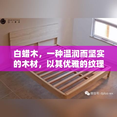 白蜡木，一种温润而坚实的木材，以其优雅的纹理和良好的耐用性在定制家具领域中备受青睐。今天，我们就来聊聊如何利用白蜡木木皮打造出既美观又实用的家具，让你的家在自然与现代之间找到完美的平衡点。-第1张图片-赛丽网