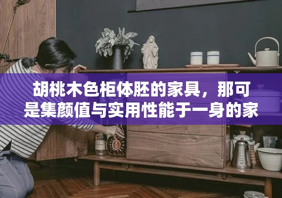 胡桃木色柜体胚的家具，那可是集颜值与实用性能于一身的家居好物啊！想象一下，温暖的胡桃木色，自然纹理清晰可见，不仅能为你的家增添一抹温馨的木质气息，还能在视觉上营造出一种高雅而不失温馨的氛围。-第2张图片-赛丽网