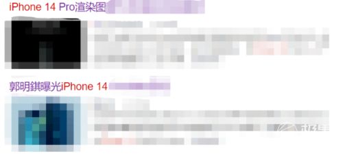 嘿，各位小伙伴们，今天咱们来聊聊一个超实用的话题——运河家具城宠物店的探秘之旅！别急，先别翻白眼，这可不是什么探险活动，而是咱们日常生活中的小确幸——找到一家靠谱的宠物店，给咱的小毛球找个温馨的小窝。-第1张图片-赛丽网