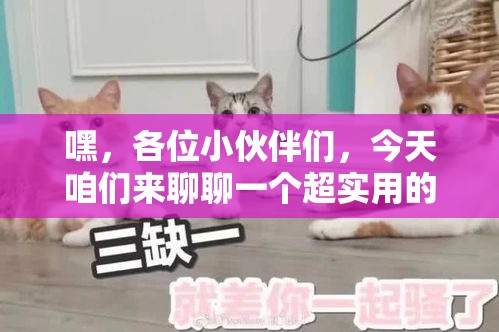 嘿，各位小伙伴们，今天咱们来聊聊一个超实用的话题——运河家具城宠物店的探秘之旅！别急，先别翻白眼，这可不是什么探险活动，而是咱们日常生活中的小确幸——找到一家靠谱的宠物店，给咱的小毛球找个温馨的小窝。-第2张图片-赛丽网