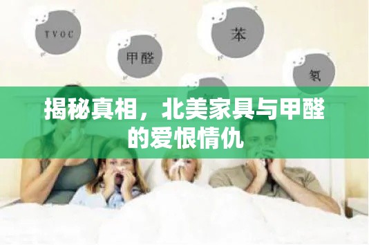 揭秘真相，北美家具与甲醛的爱恨情仇-第1张图片-赛丽网