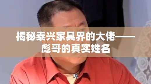 揭秘泰兴家具界的大佬——彪哥的真实姓名-第1张图片-赛丽网
