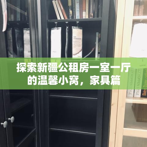 探索新疆公租房一室一厅的温馨小窝，家具篇-第1张图片-赛丽网