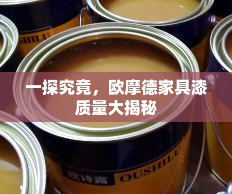一探究竟，欧摩德家具漆质量大揭秘-第1张图片-赛丽网