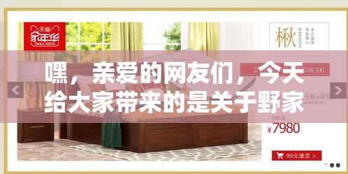 嘿，亲爱的网友们，今天给大家带来的是关于野家家具旗舰店的地址攻略，这可是个实用贴哦！-第1张图片-赛丽网