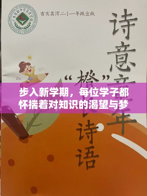 步入新学期，每位学子都怀揣着对知识的渴望与梦想，踏入校园的那一刻，除了满腔的热情，还有一项重要任务——准备开学必备的家具。以下是一些实用且不可或缺的开学家具清单，帮助你轻松开启学习之旅。-第1张图片-赛丽网