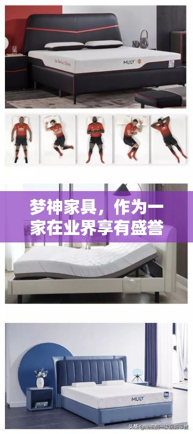 梦神家具，作为一家在业界享有盛誉的家居品牌，其线下实体店不仅为消费者提供了亲身体验高品质家居产品的机会，还让顾客能够直接感受到梦神家具所倡导的舒适与美学并重的家居理念。-第1张图片-赛丽网